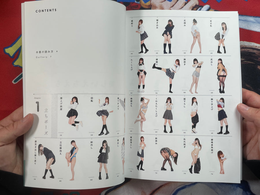 Encyclopedia of Beautiful Echi-Echi Poses by Genkosha