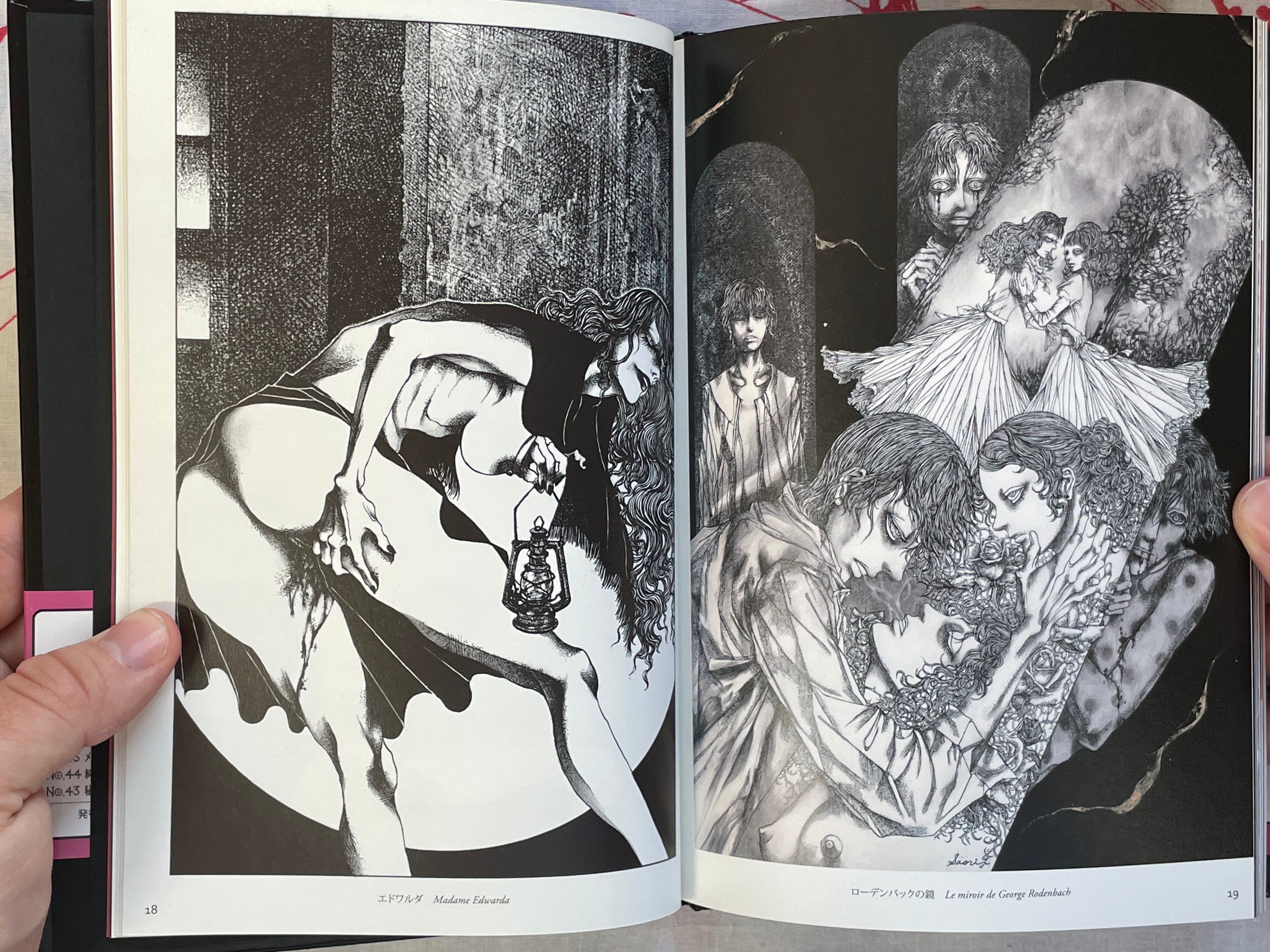 L'aventure de Mademoiselle Pipi by Saori Furukawa (2011)