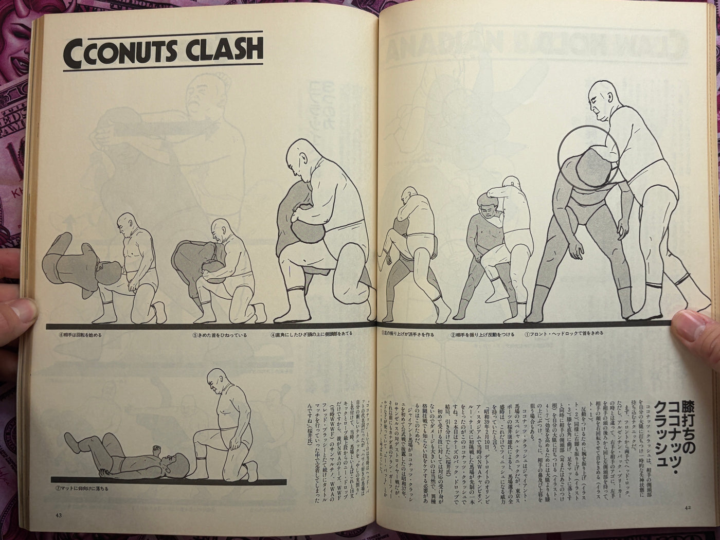 Modern Wrestling Techniques (1981/4)