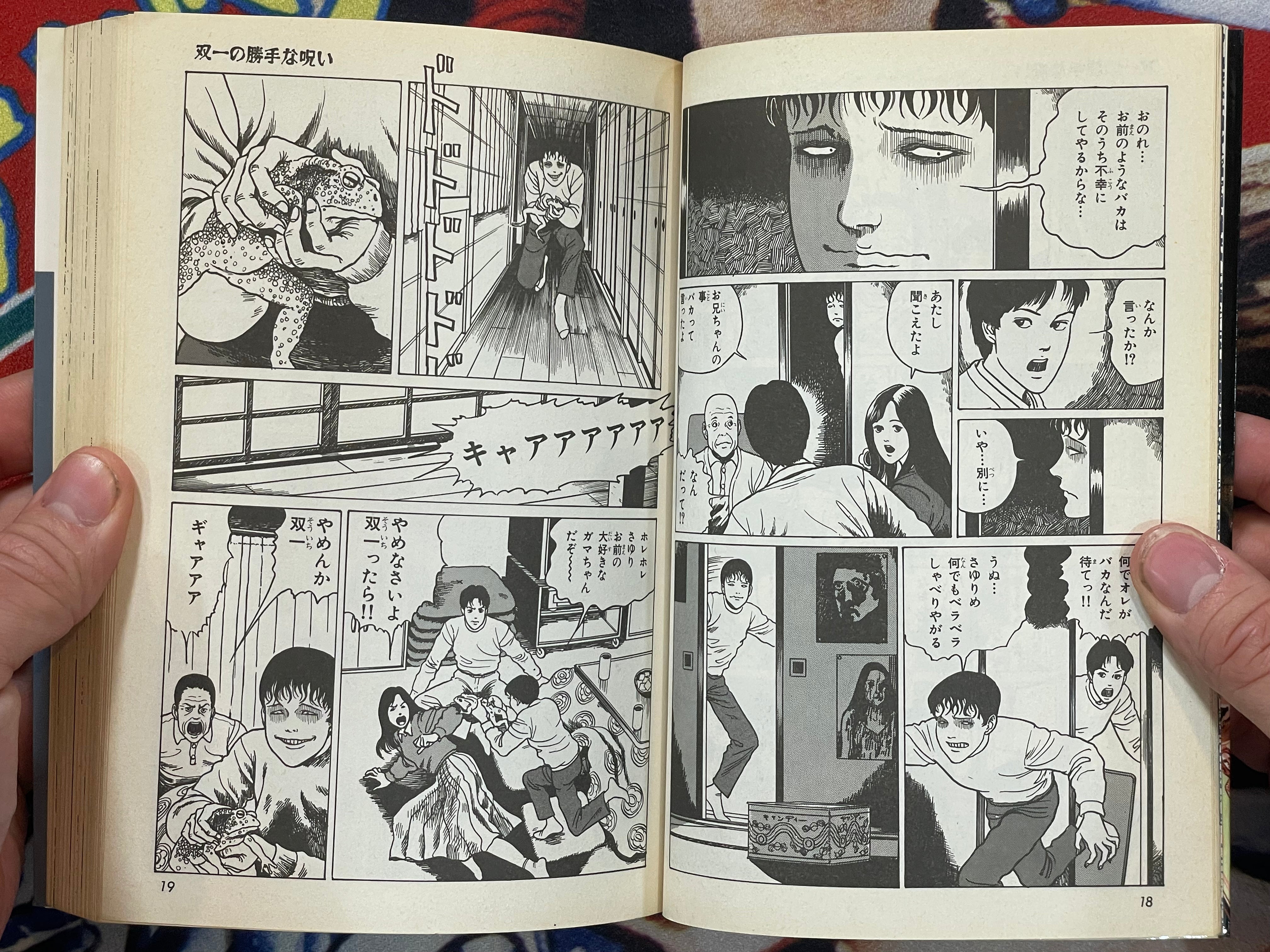 The Horror World of Junji Ito Collection #6: Soichi's Cursed Dairy (2000)