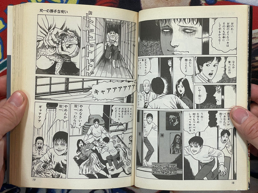 The Horror World of Junji Ito Collection #6: Soichi's Cursed Dairy (2000)