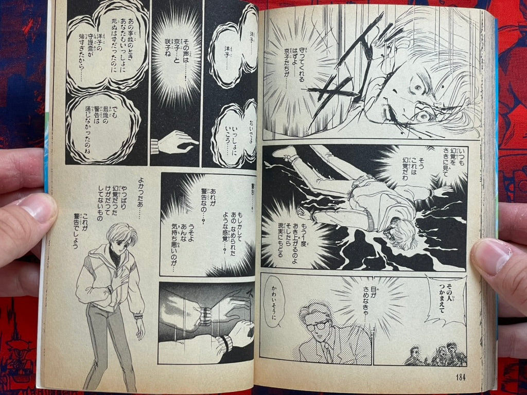 Evil Spirit World by Maiko Asano (1992)