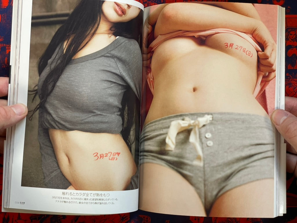 Girls Touch Painting / Nyotai Goyomi I: March and April (2011)