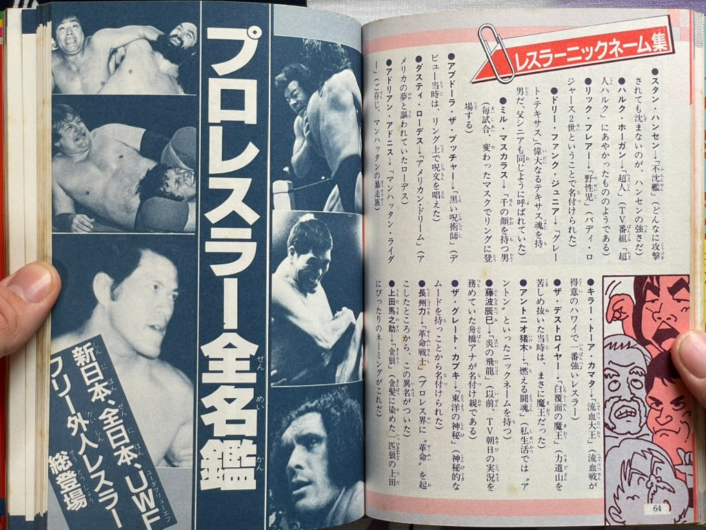 Definitive Edition: Introduction to Pro Wrestling by Big Wrestler (1984)