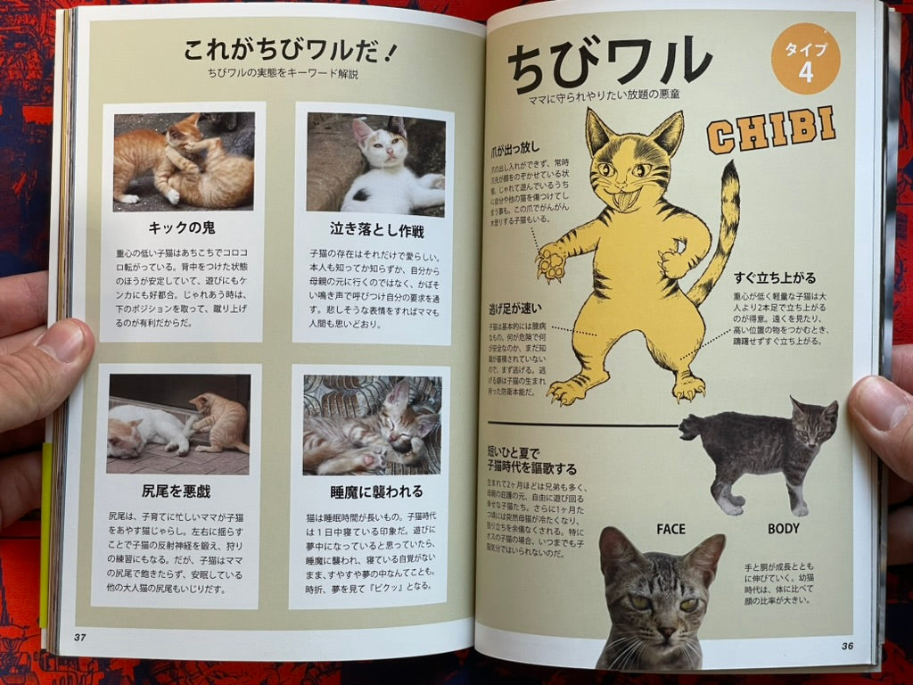 I'm A Bad Cat by Minamihaba Shunsuke (2016)