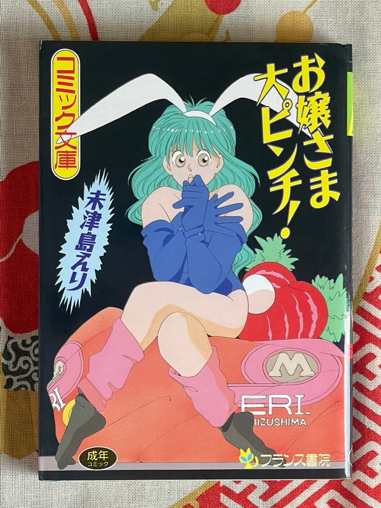 Girl's Big Pinch Bunko Edition by Eri Mizushima (1993)