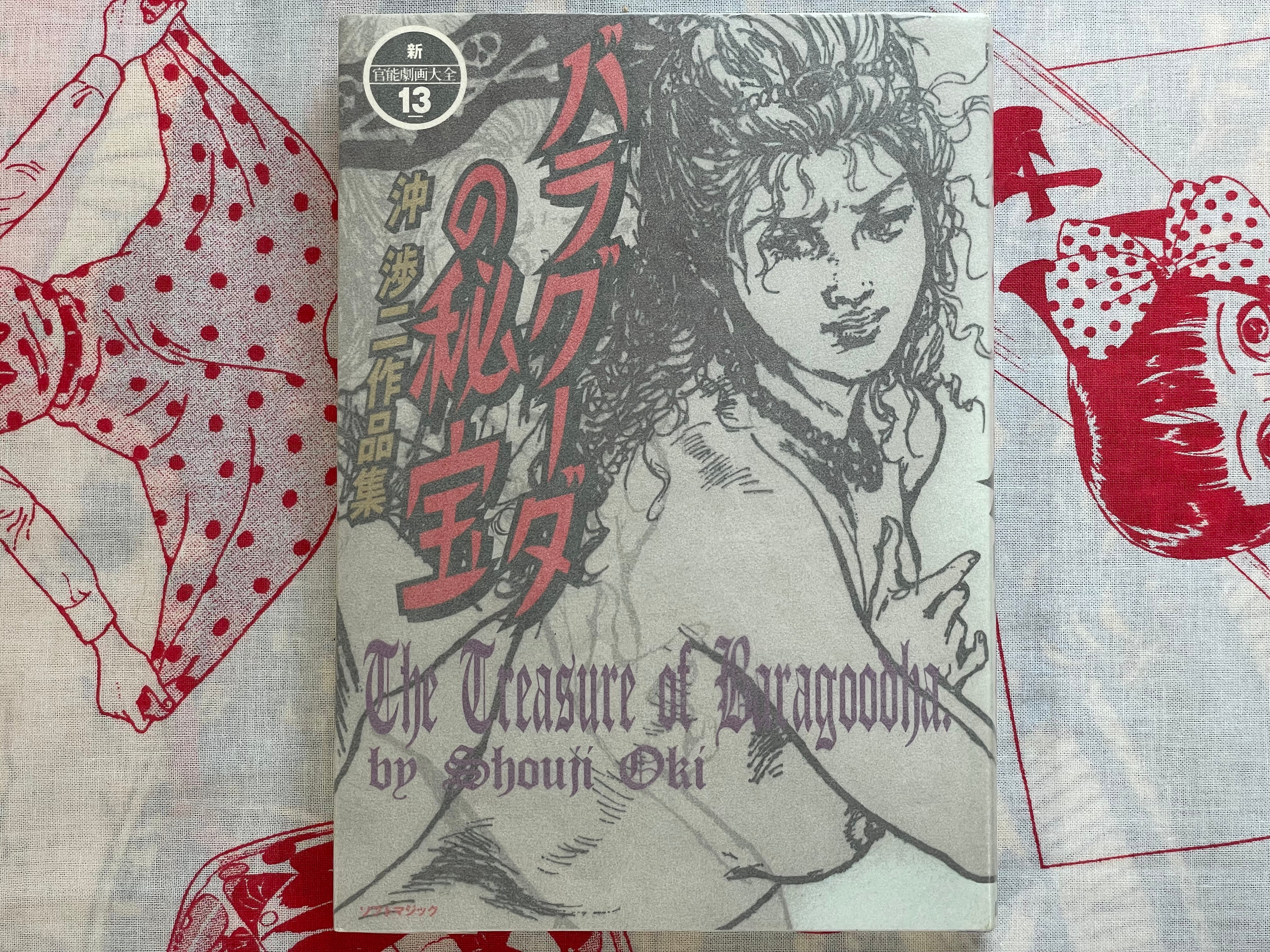 The Treasure of Baragoodha by Shouji Oki (2000)