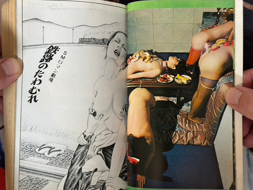 SM Fan Magazine (12/1972)