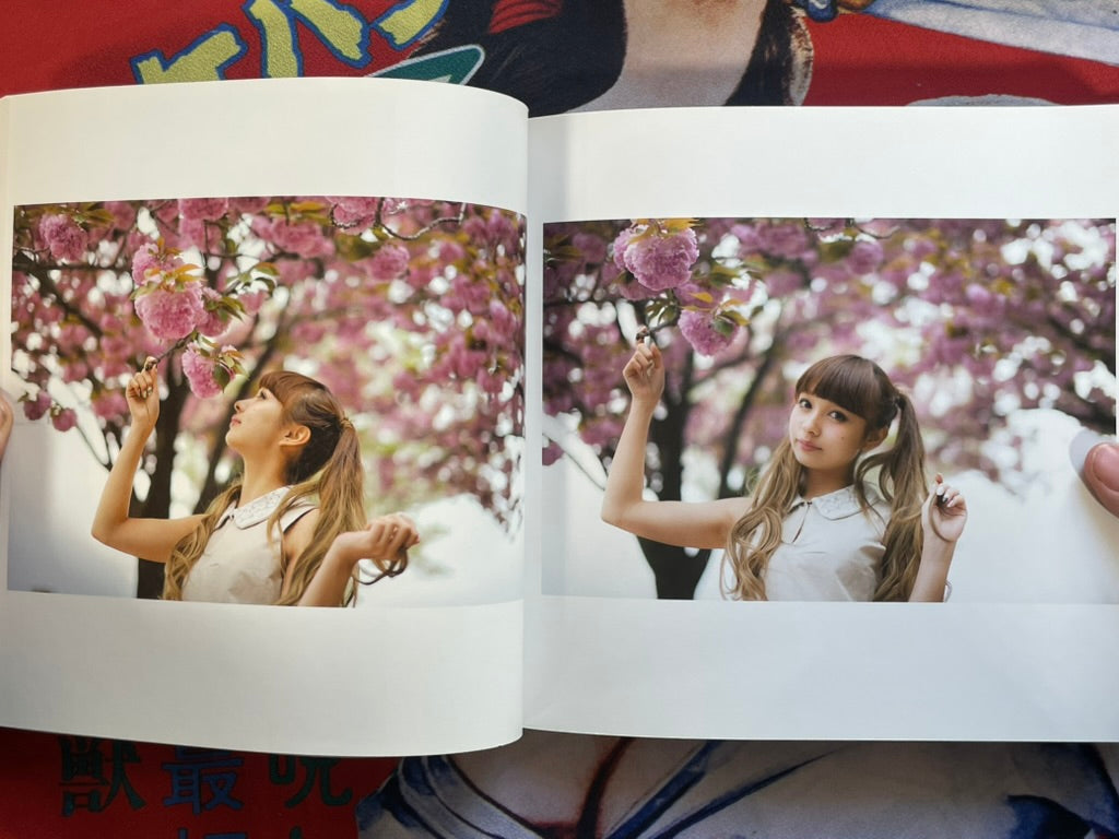 Sunny Day and Twin Tail by Kan Furuya (2012)