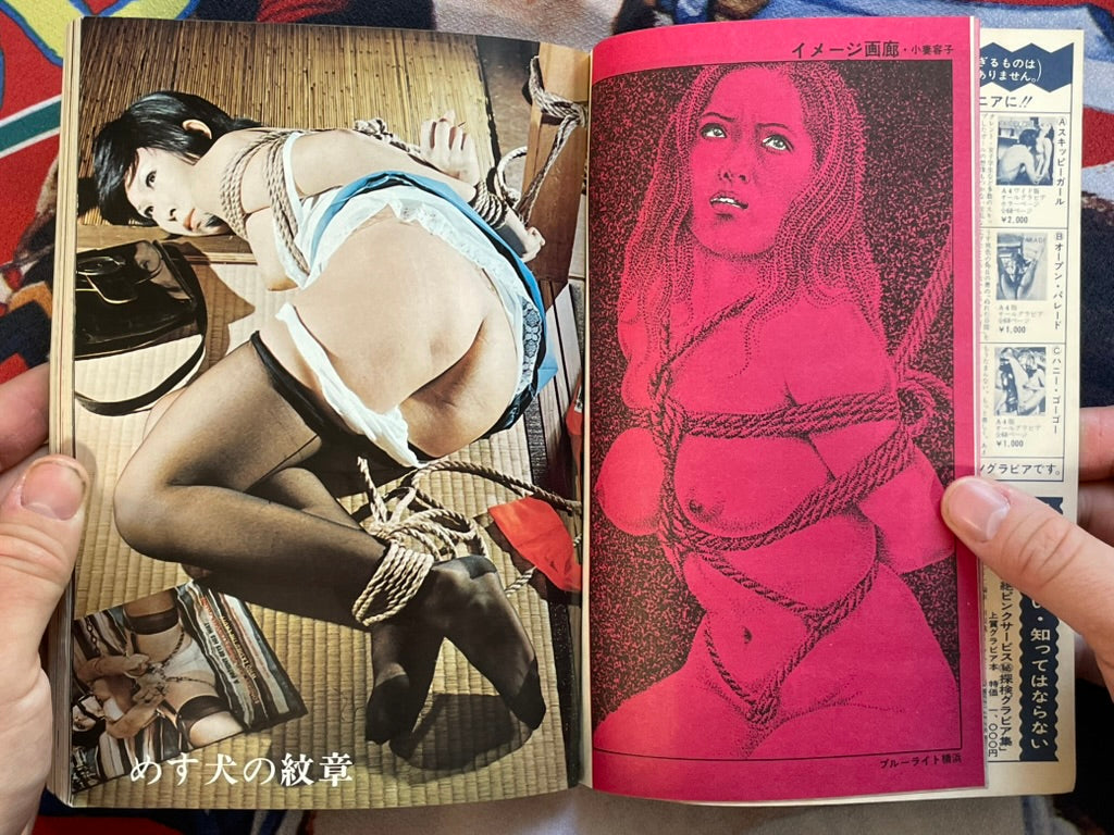 SM Collector (1974/7)