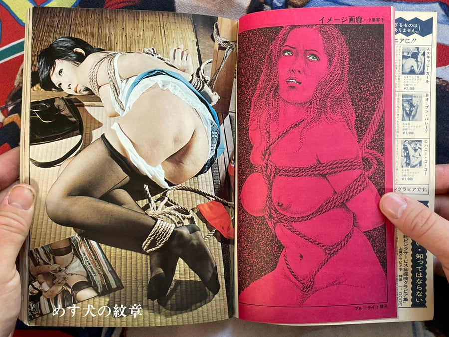 SM Collector (1974/7)