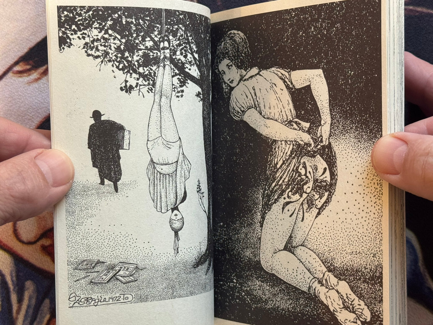 Life With Woman Dog (2004) Asaji Muroi (669/1000 Limited)