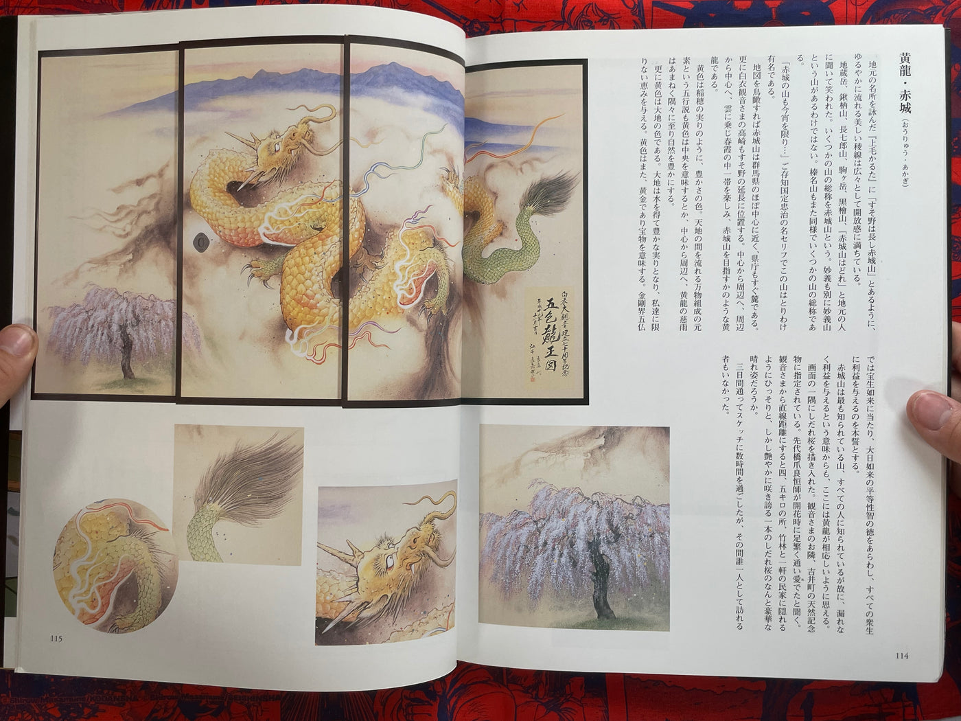 The World of Dragon Art by Emoto Shogaku (2008)