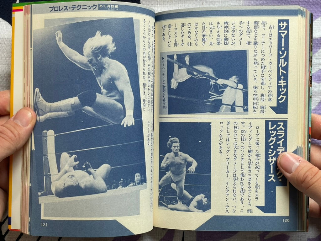 Pro Wrestling Finishing Move Technique by Big Wrestler (1984)
