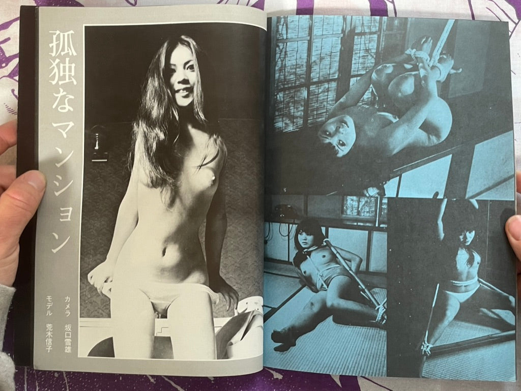 World Playboy Magazine (11/72)