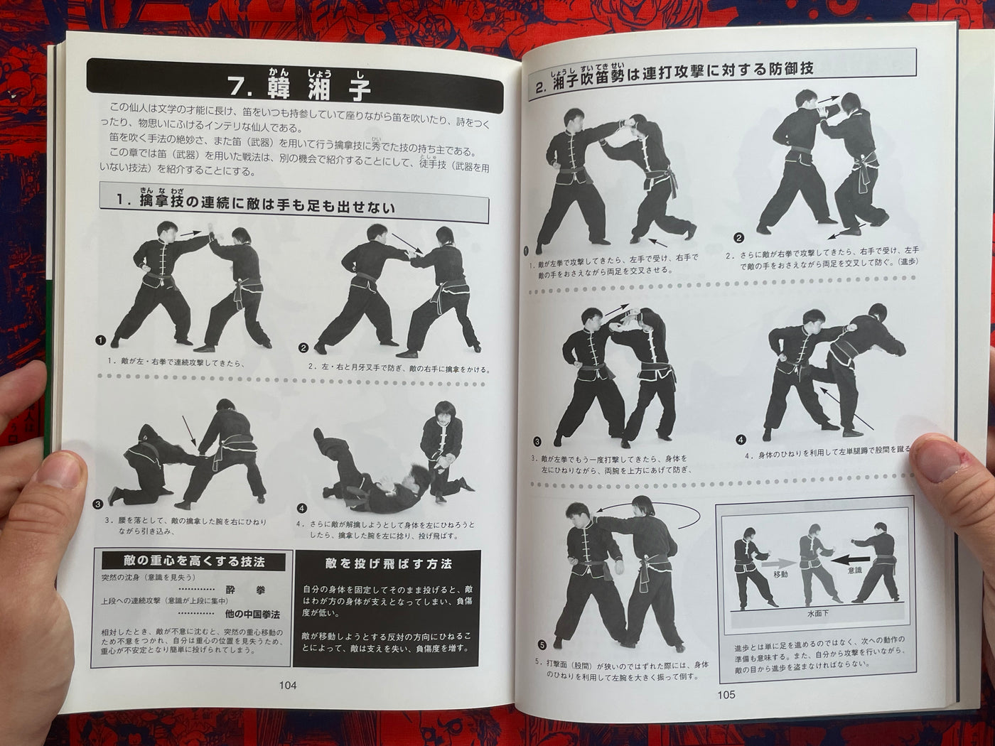 Drunken Fist Super Technique by Hiun Ryu (1999)