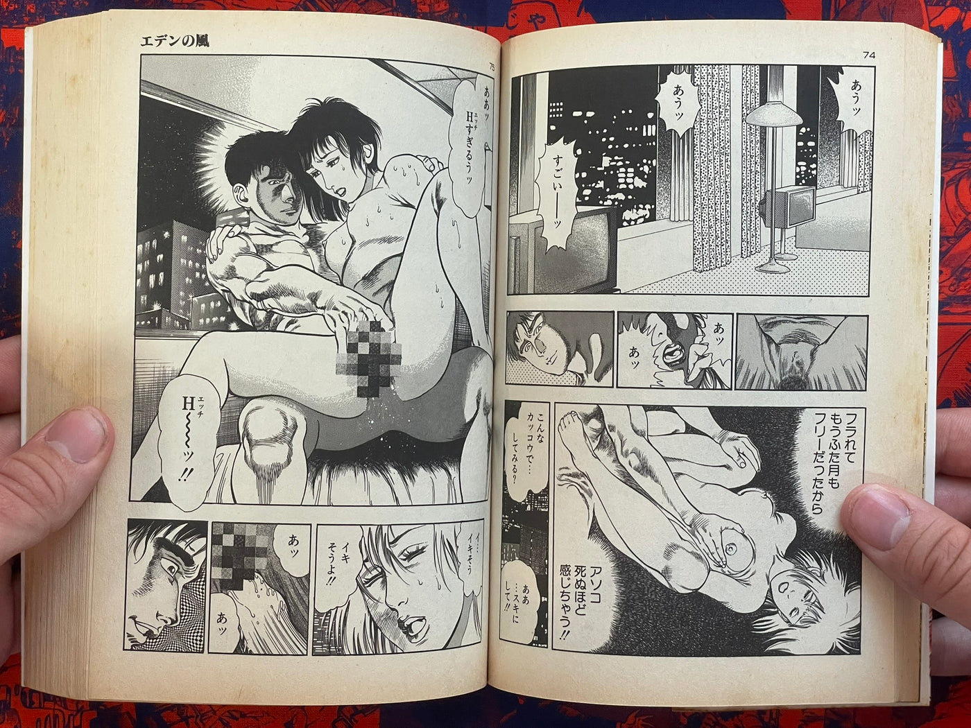SIGNED Wind of Eden by Toshio Maeda (1990)