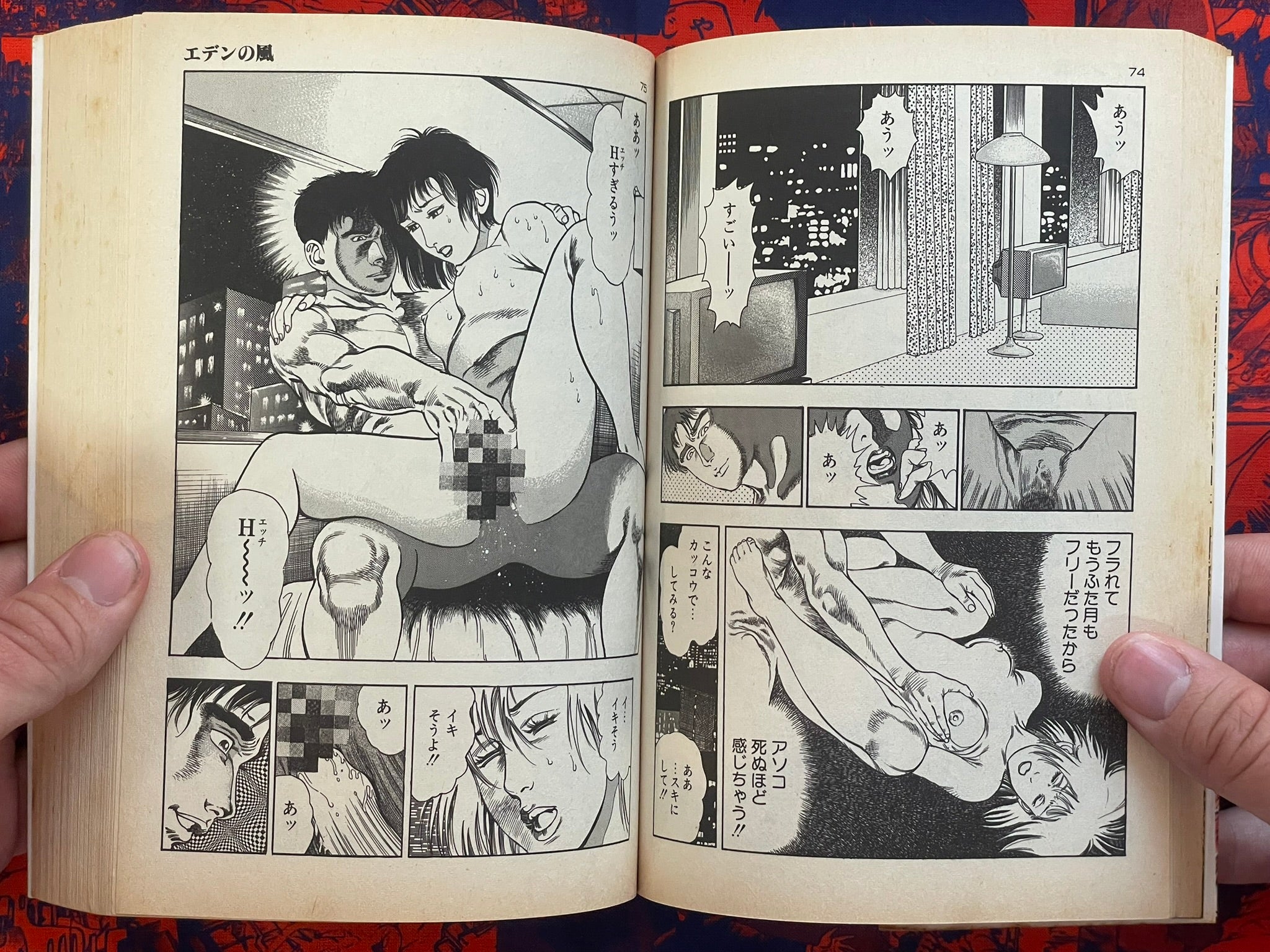 SIGNED Wind of Eden by Toshio Maeda (1990)