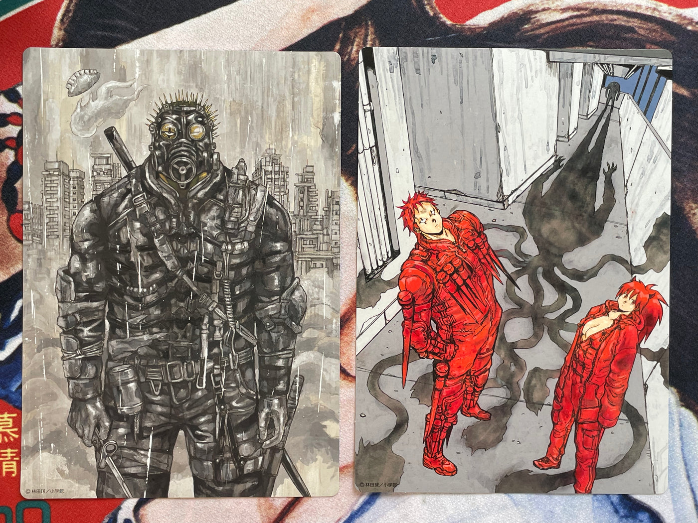 Dorohedoro Poster Card Set by Q Hayashida