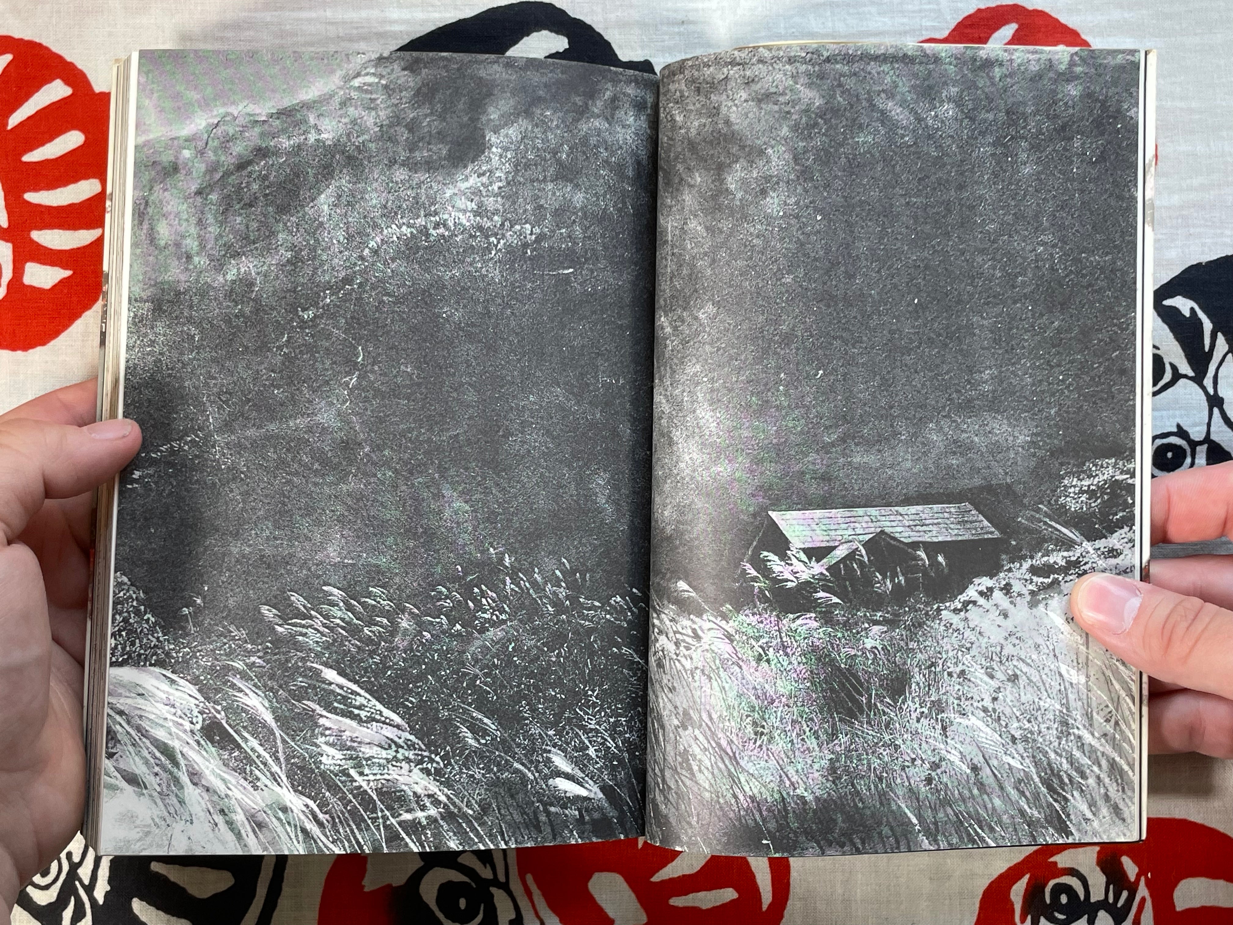 Maraque (1990) by Takashi Ishii