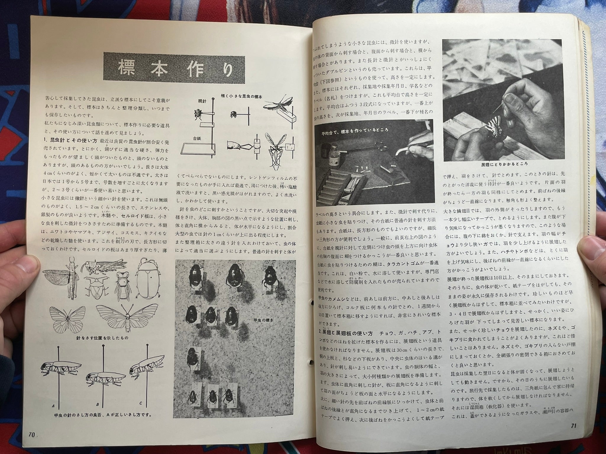 The Science Graph Vol. 6: Insect Special Edition (1962)