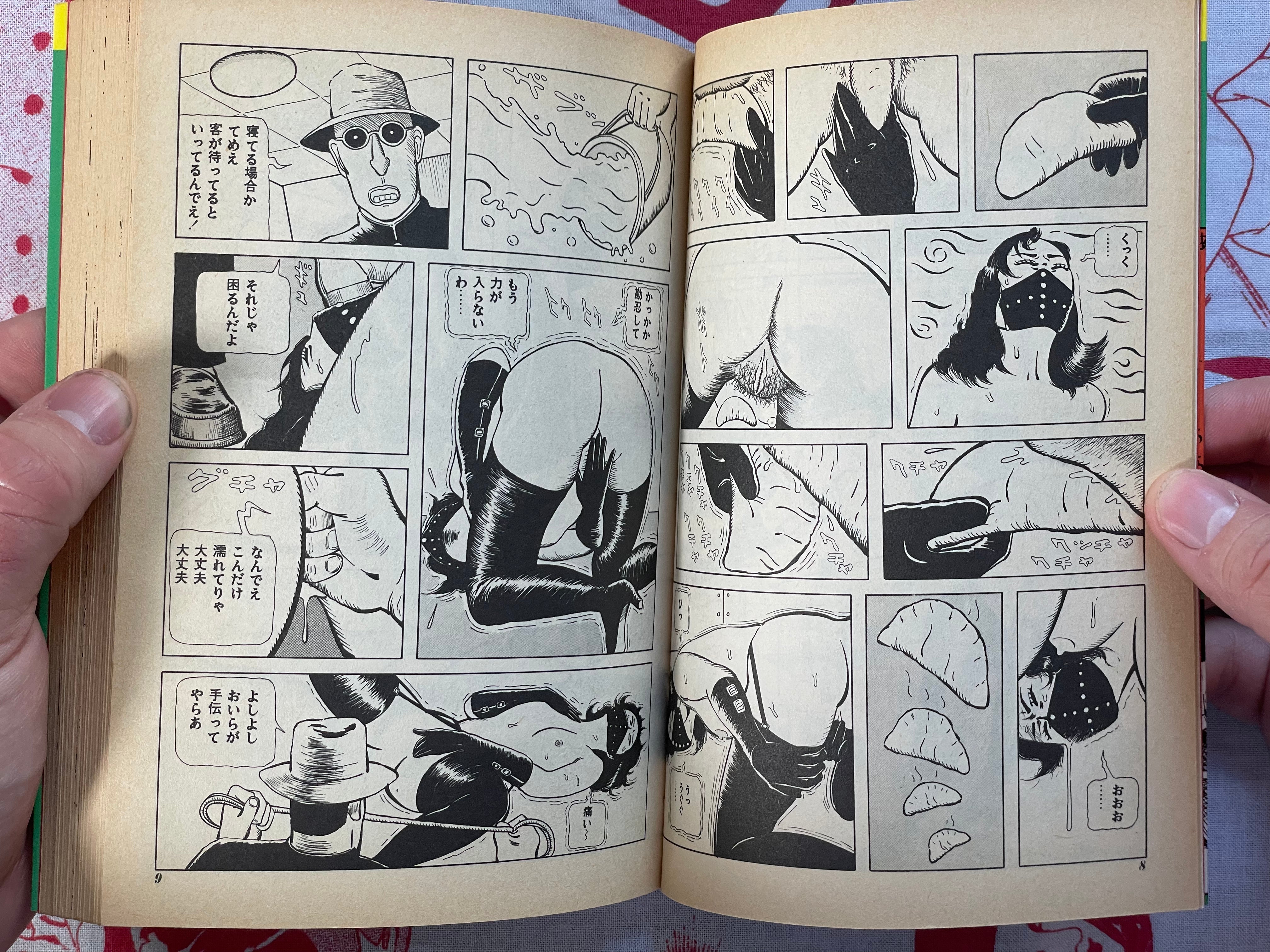 Hitomi-chan by Hiromi Hiraguchi (1984)