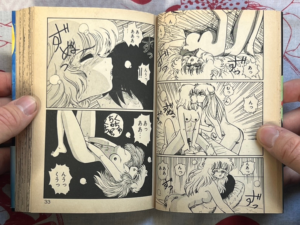 Big Panic for That Girl! - bunko size by Kenzaki Mikuri (1991)