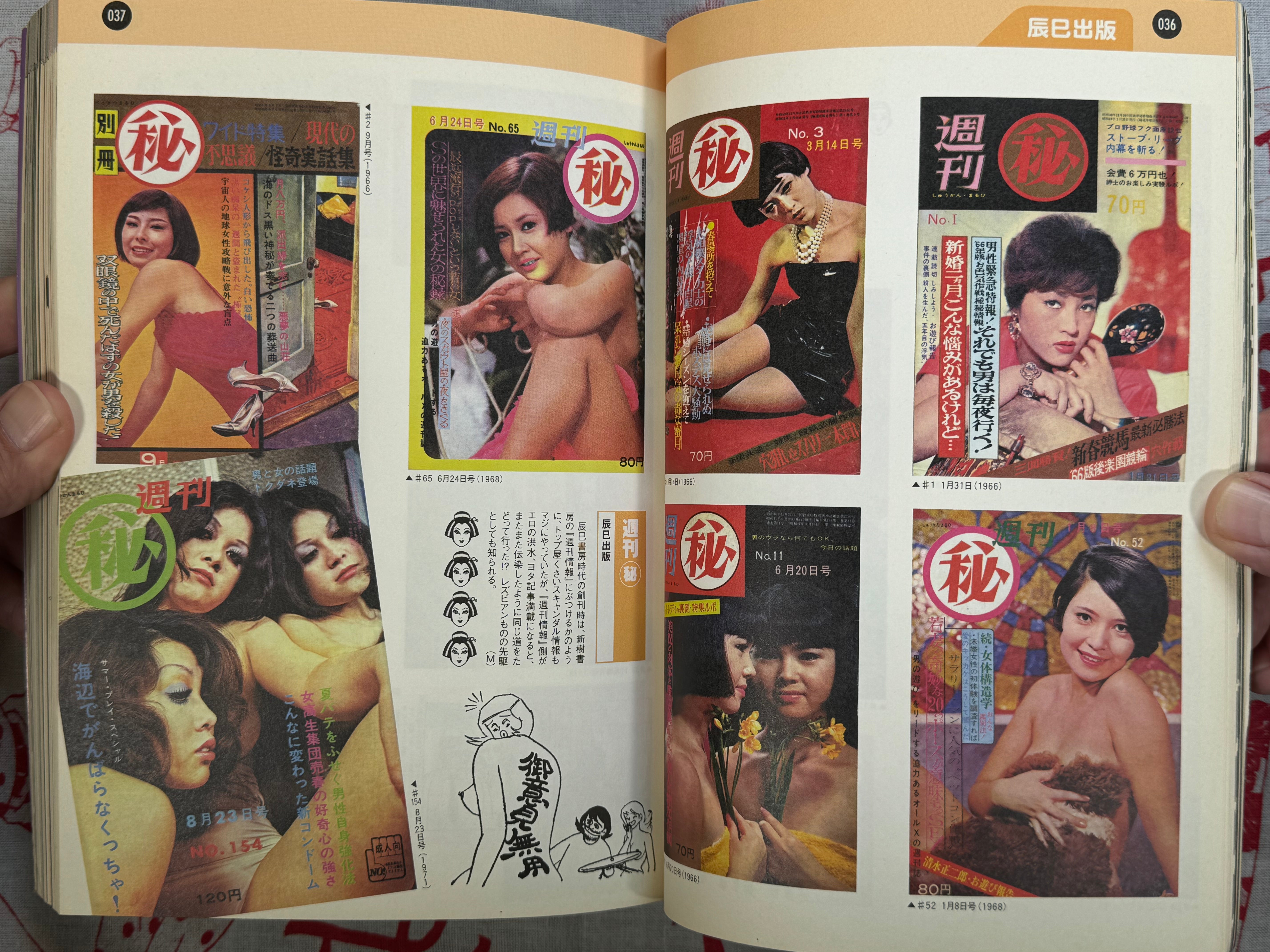 The Essential Guide to Japanese Sexy Magazines of 1956-1980 (2001)