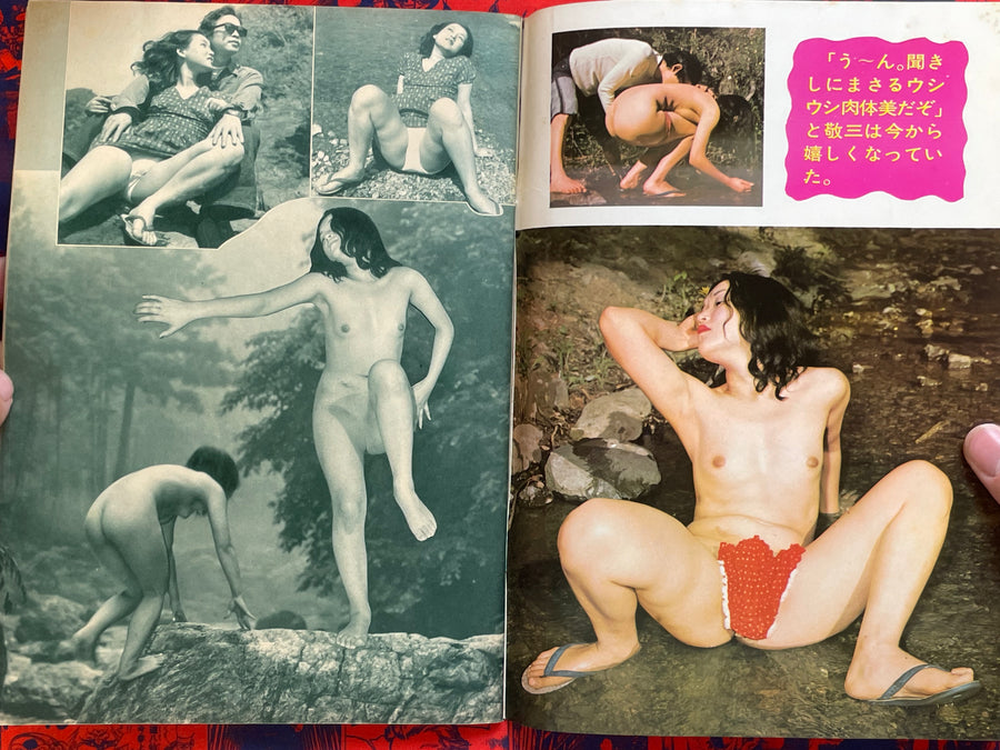 Blue H Magazine (7/1974)