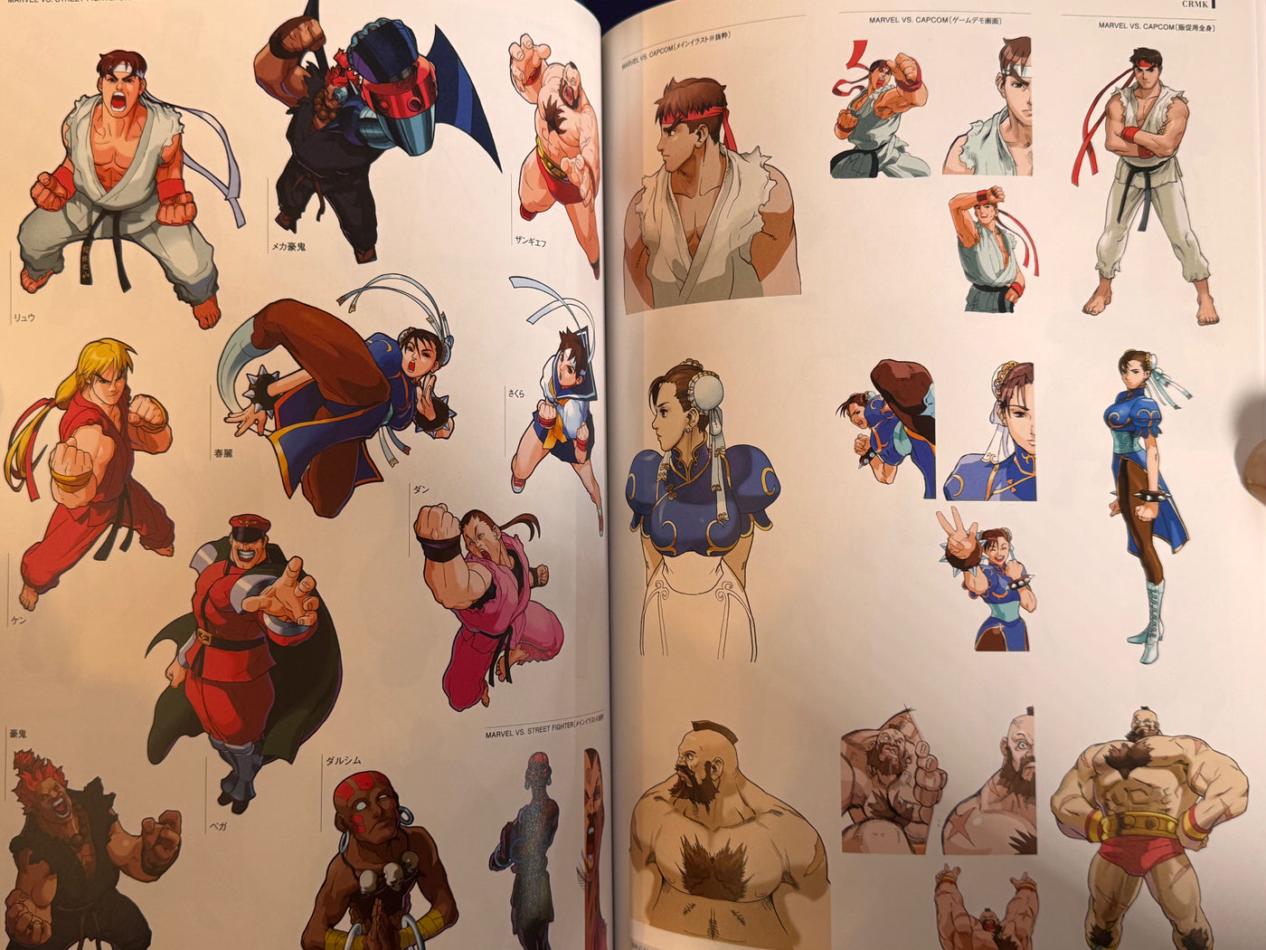 CAPCOM Street Fighters Art Works Supremacy (2009) · Japan Book Hunter