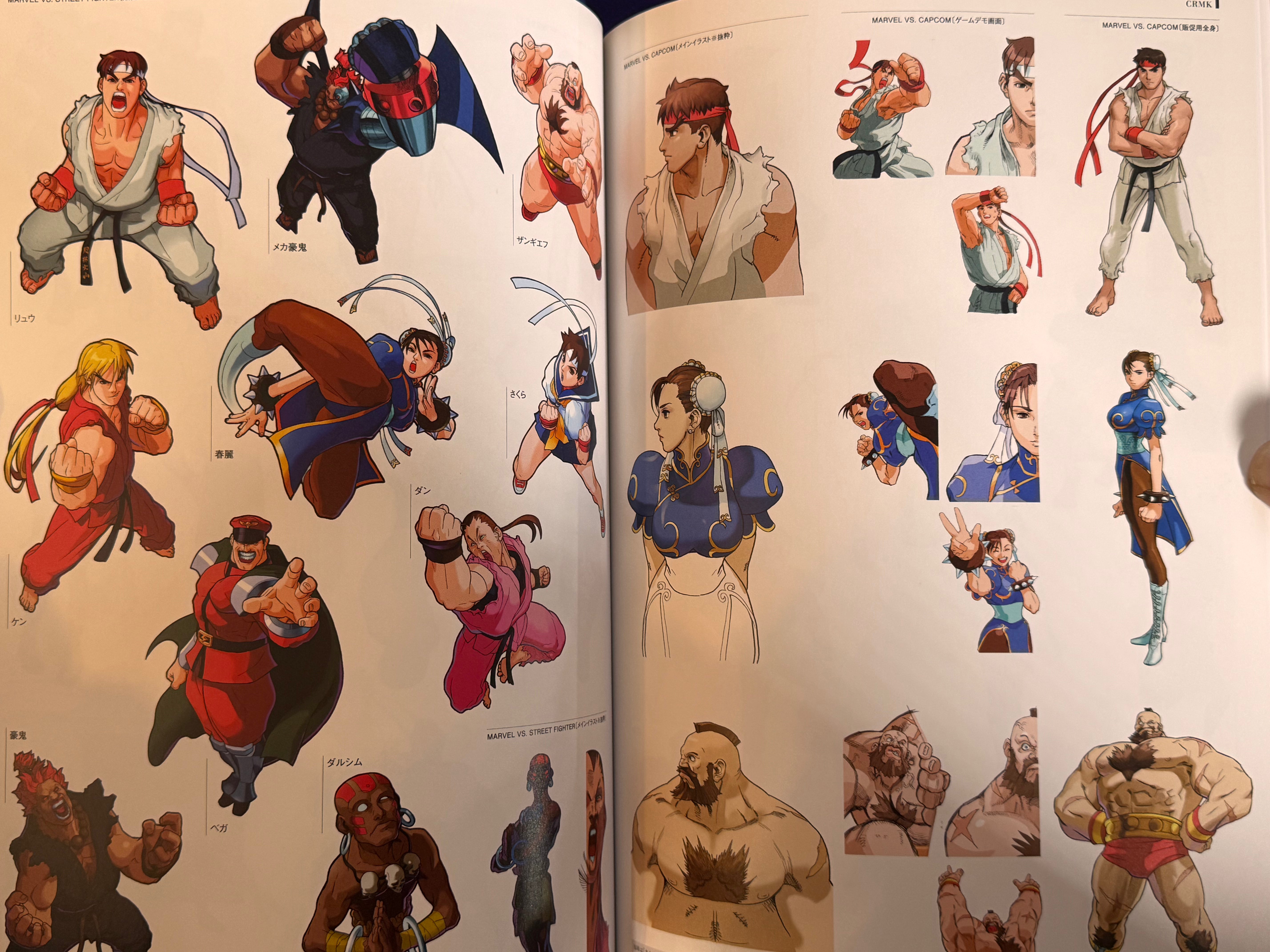 CAPCOM Street Fighters Art Works Supremacy (2009)
