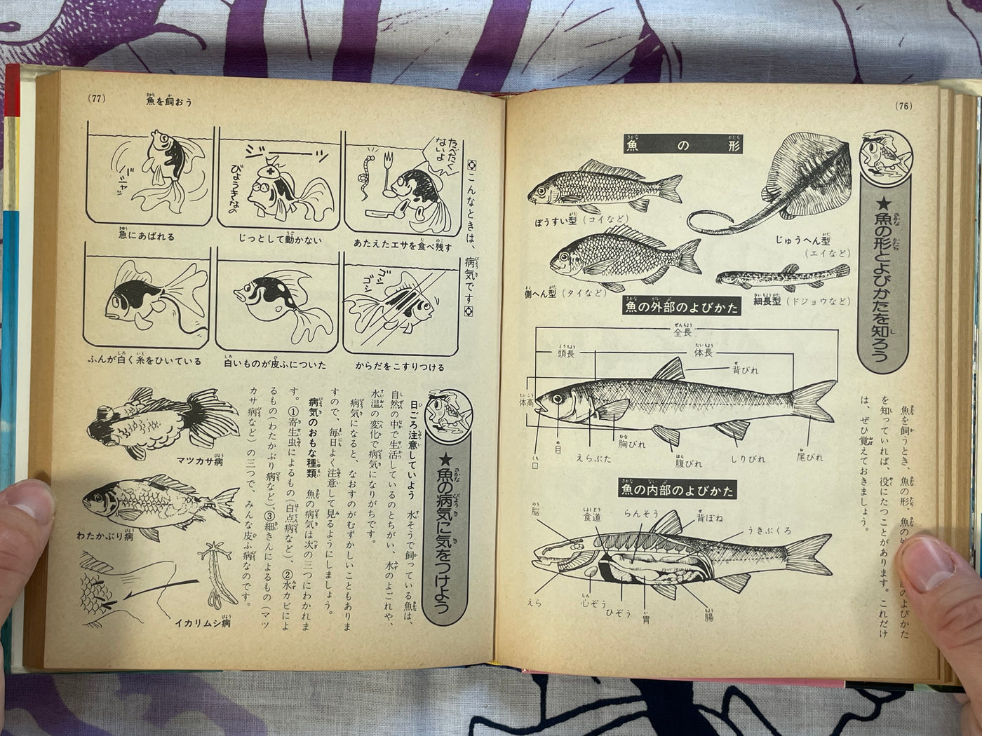 How to Own Pets #4 by Shogakukan (1979)