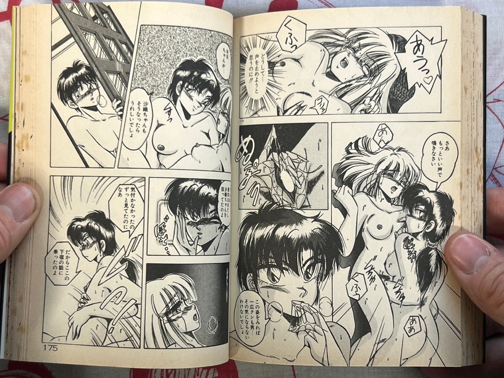 I Like You After All! - bunko size by Kawahara Shin (1995)