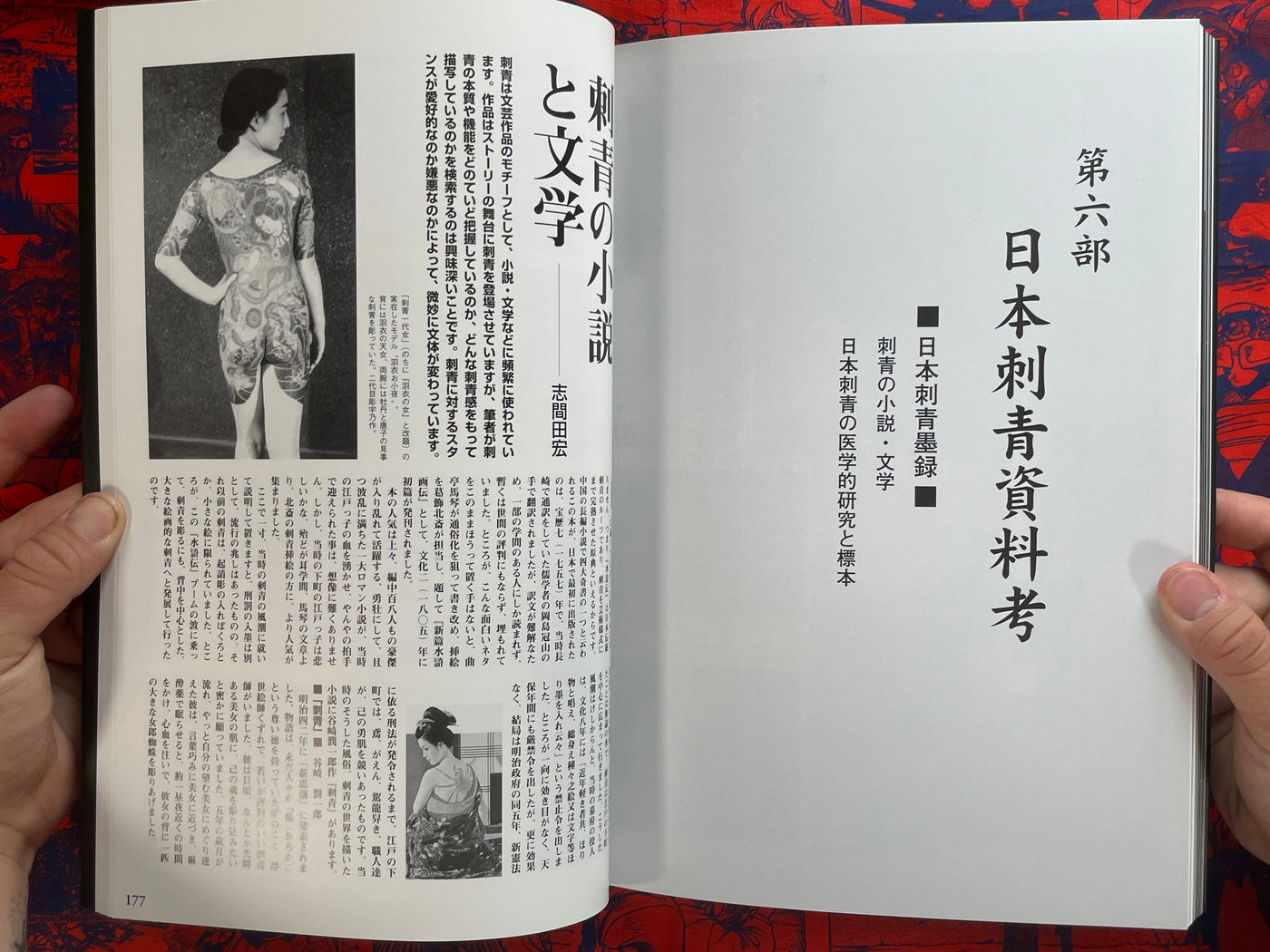 Irezumi: Japan's Tattoo Arts Horimitsu's World - slipcover (2000)