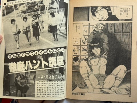 Pink Box Magazine Vol. 11 (1970s?)