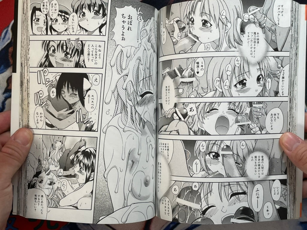 Daijobu by Shiwasu no Okina (1999)-thumbmail-11