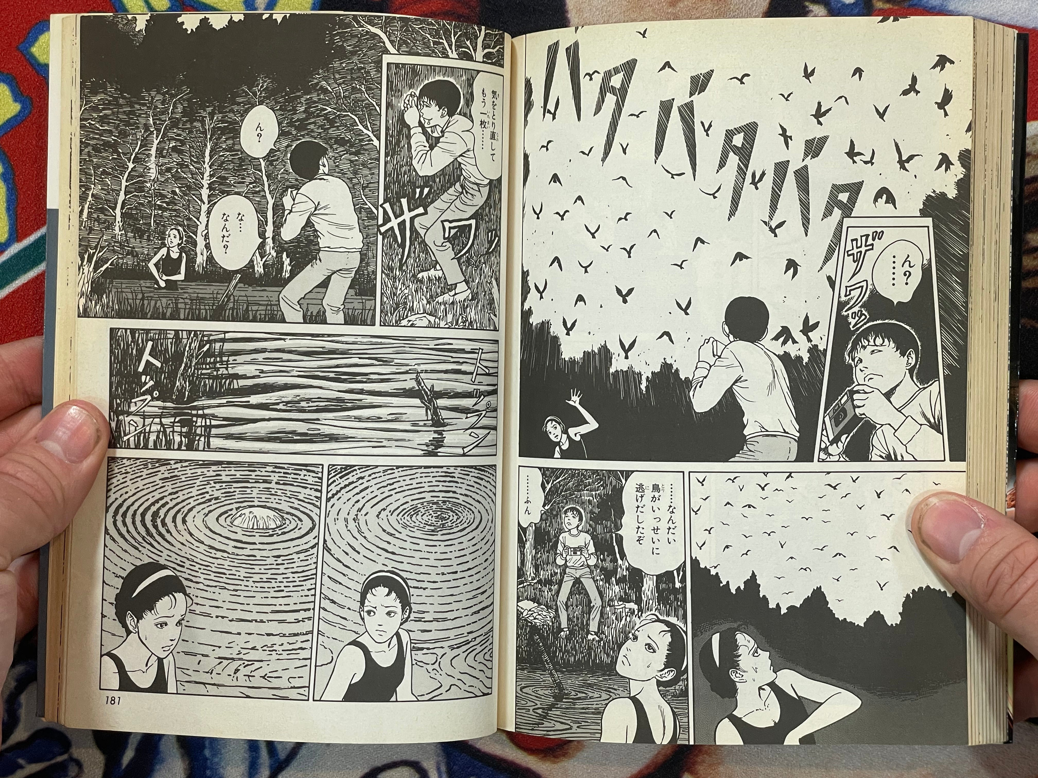 The Horror World of Junji Ito Collection #6: Soichi's Cursed Dairy (2000)