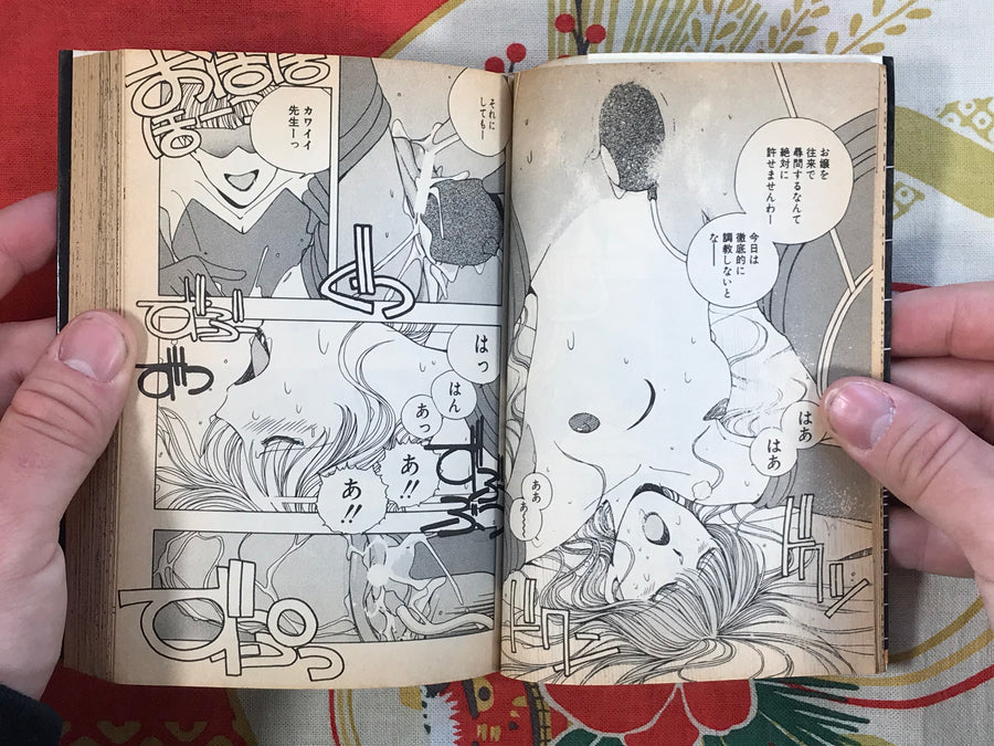 The Young Lady is Super Extreme! bunko edition by Eri Mizushima (1990)
