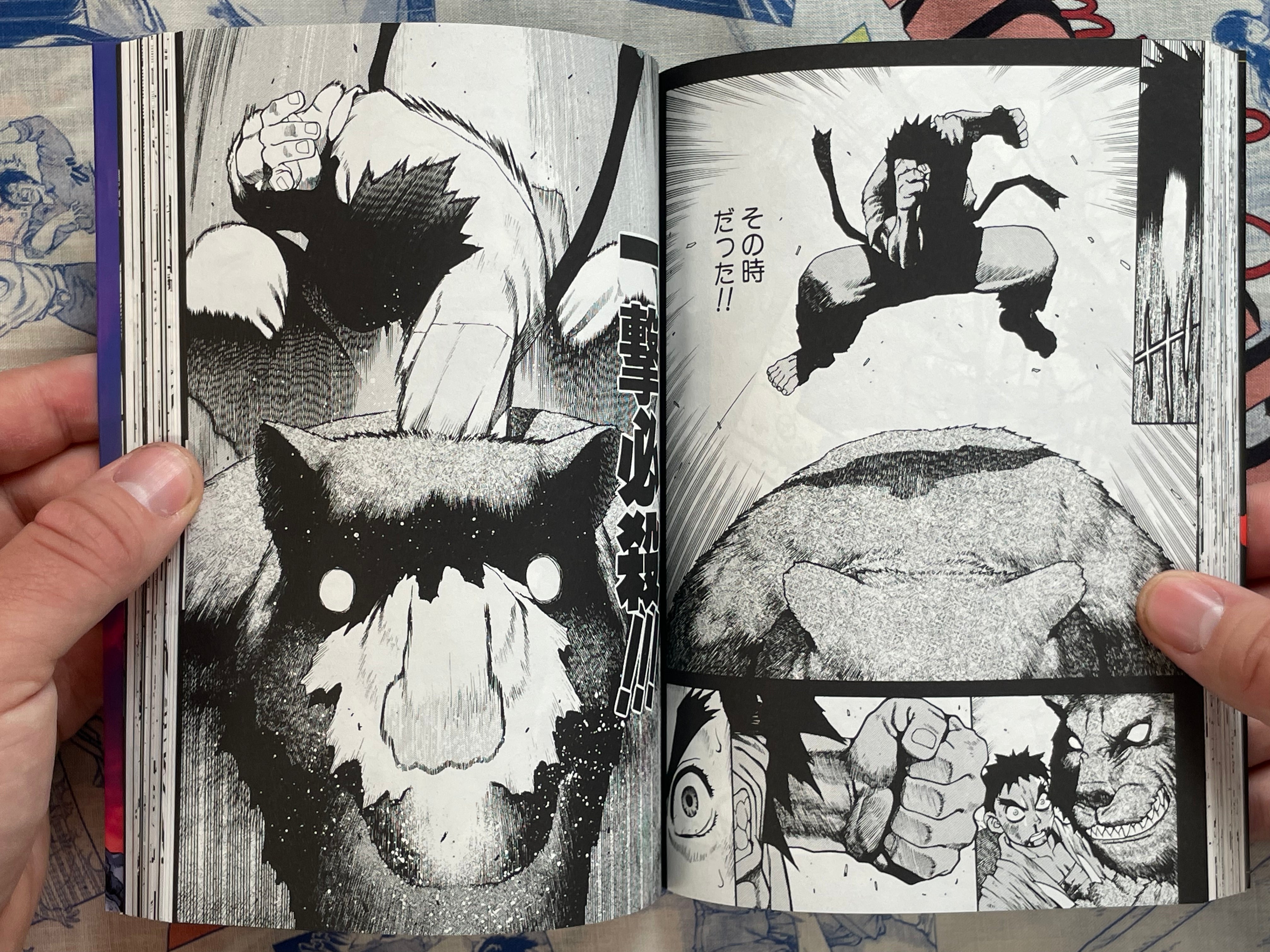 Street Fighter III Ryu Final by Masahiko Nakahira (1999)-thumbmail-12