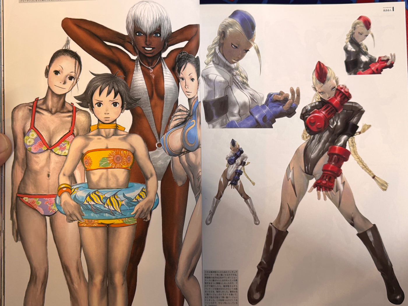 CAPCOM Street Fighters Art Works Supremacy (2009)