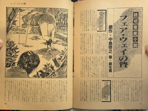 Pink Box Magazine Vol. 11 (1970s?)