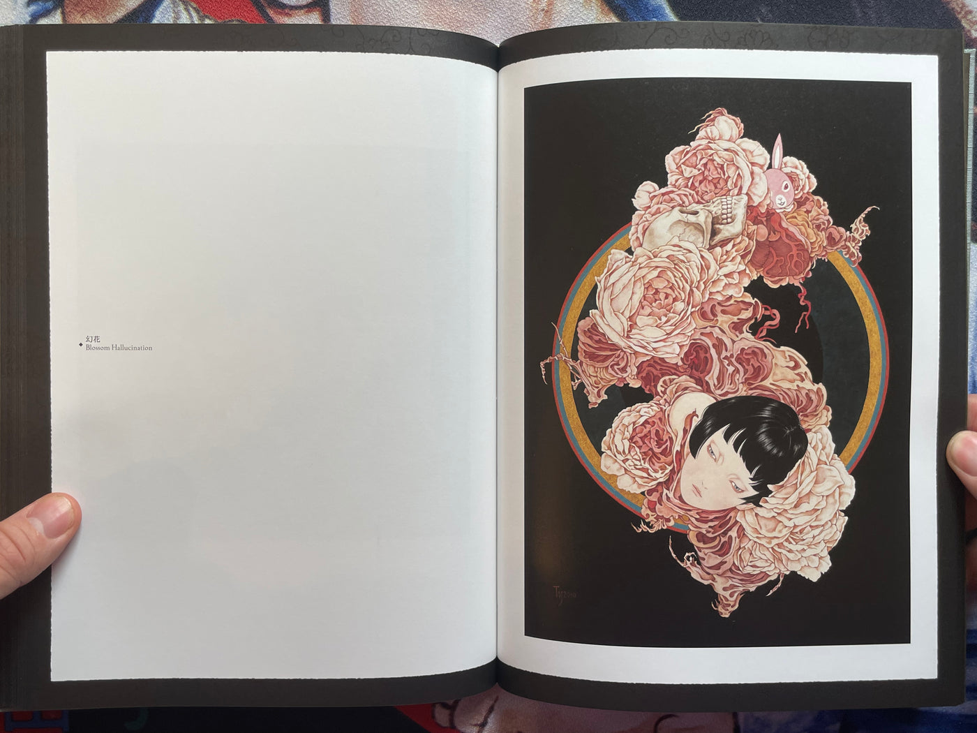 SIGNED Coffin of a Chimera by Yamamoto Takato - Hardcover + Slipcover (2024)
