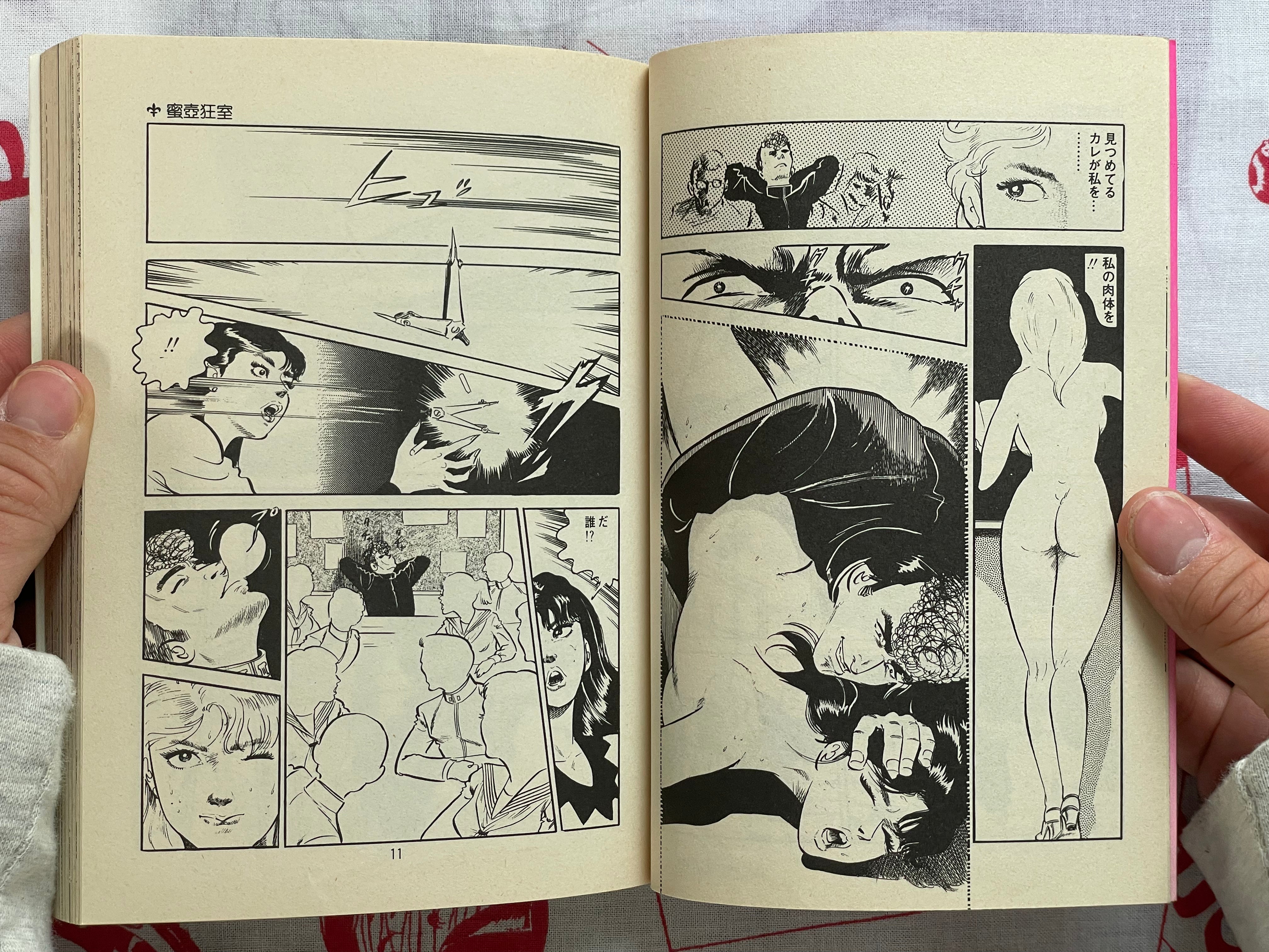 Sad Checkup by Natsumi Kei (1983)