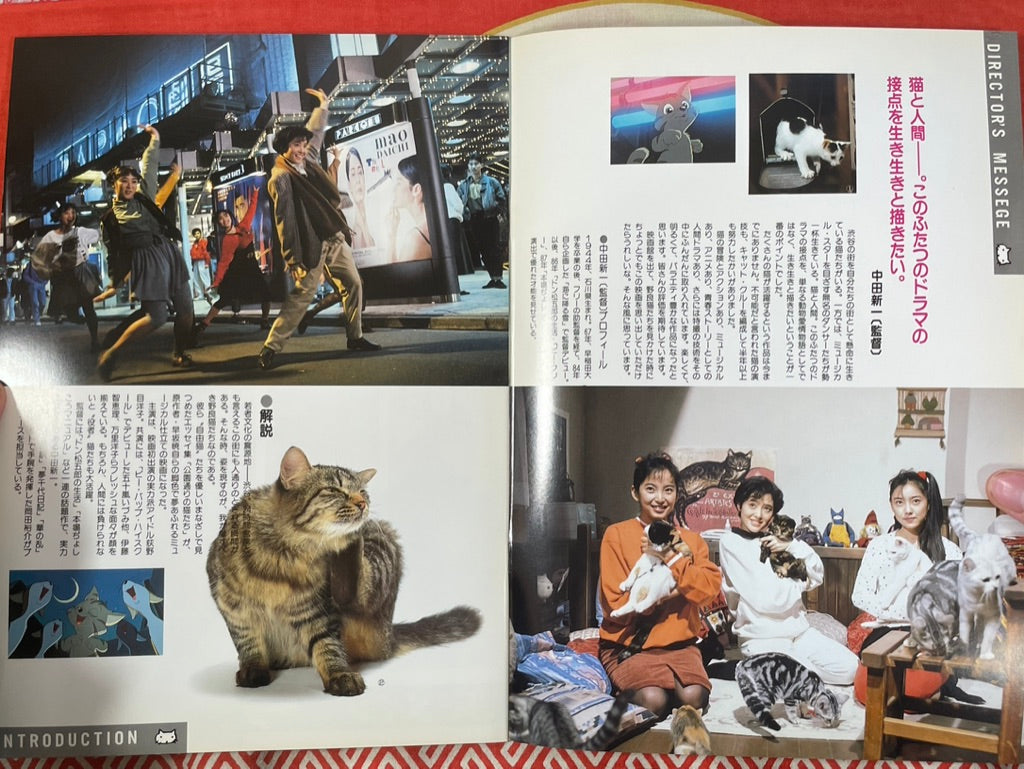 Movie Pamphlet: Cats on Park Street (1989)