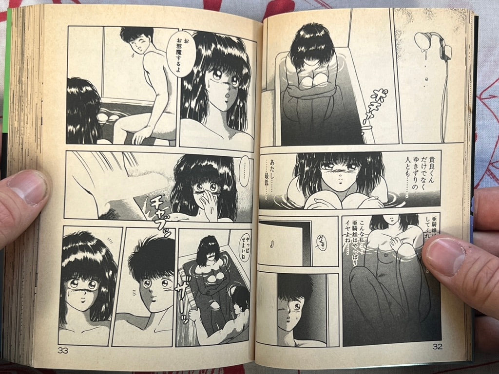 She's a Sexy Honor Student - bunko size by Naruse Hiromi (1991)