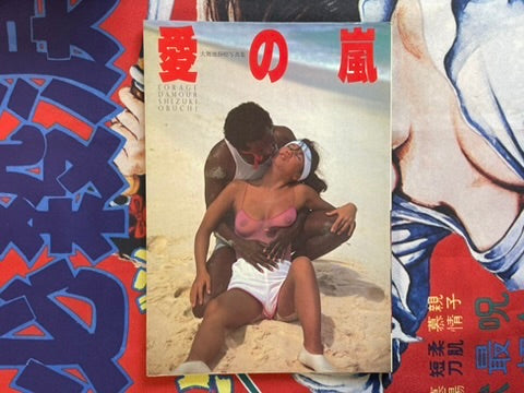 Love Storm: L'Orage D'Amour by Shizuki Obuchi (1982)