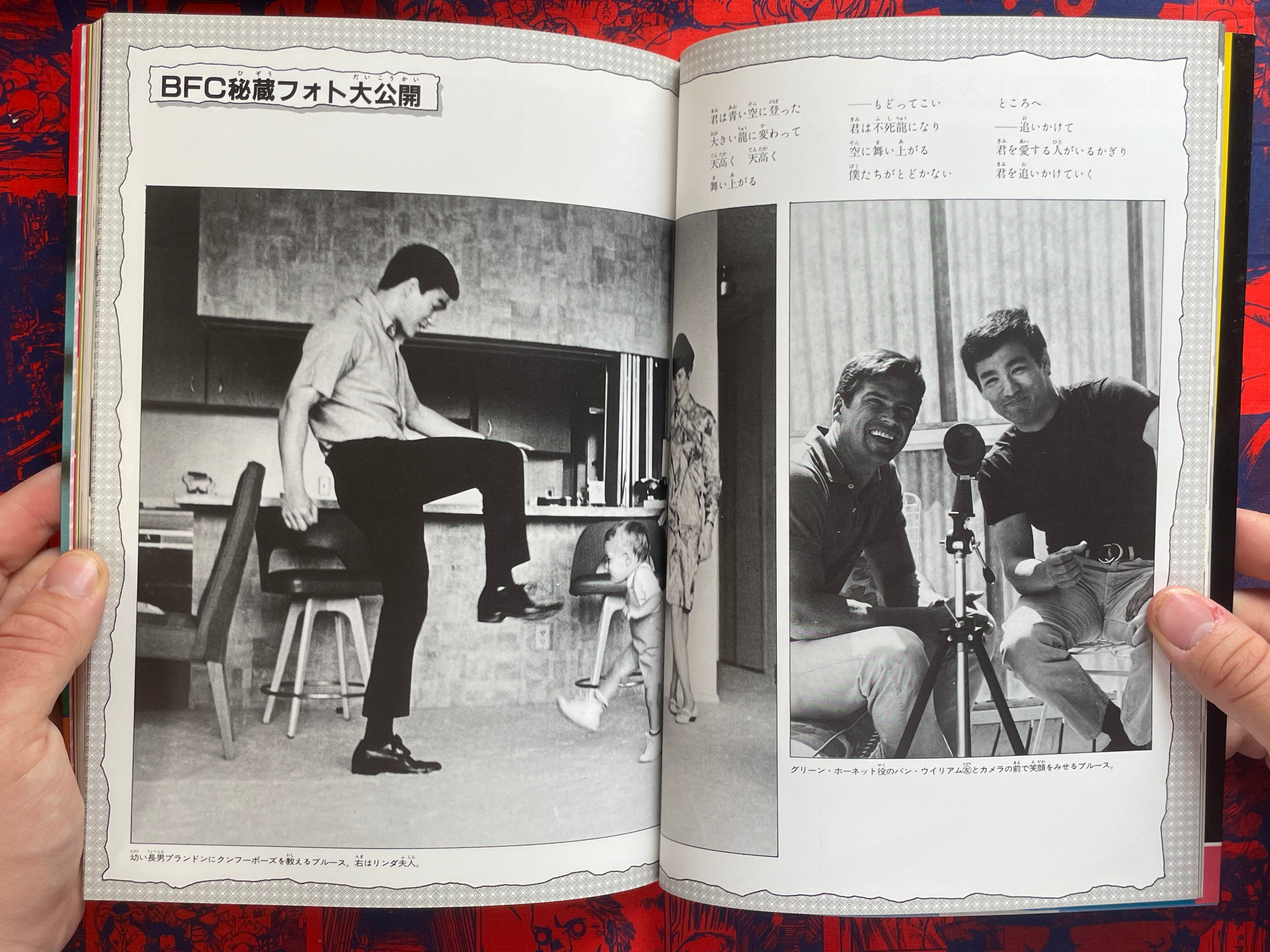 Bruce Lee Forever (1983)
