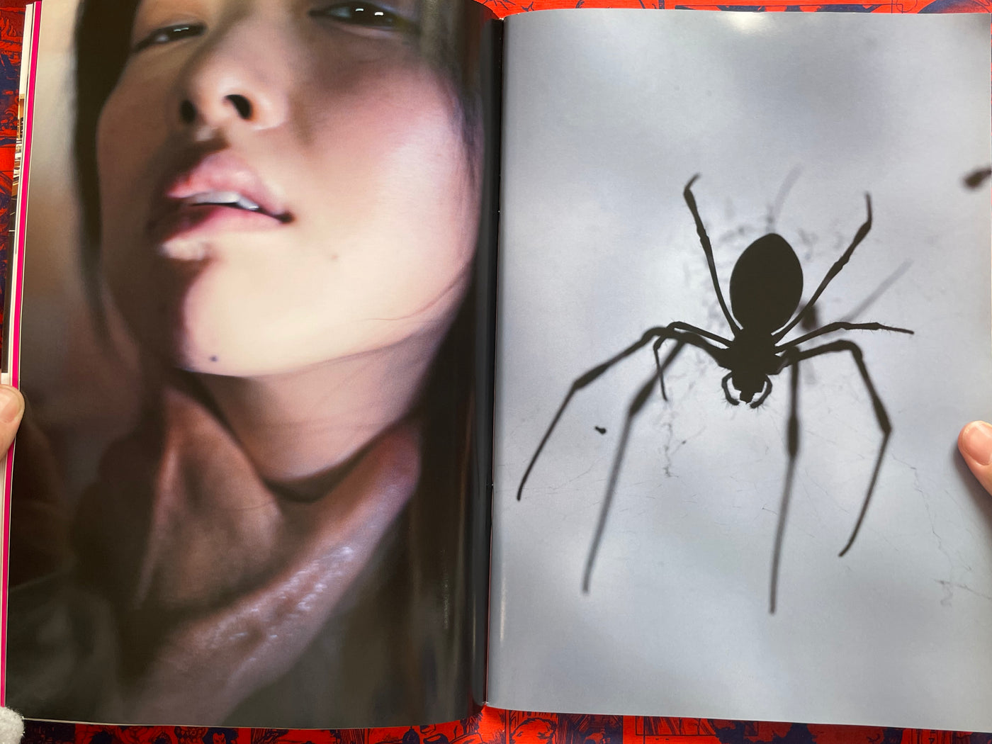 Monthly Shincho Mook: Seto Saki II (2009)