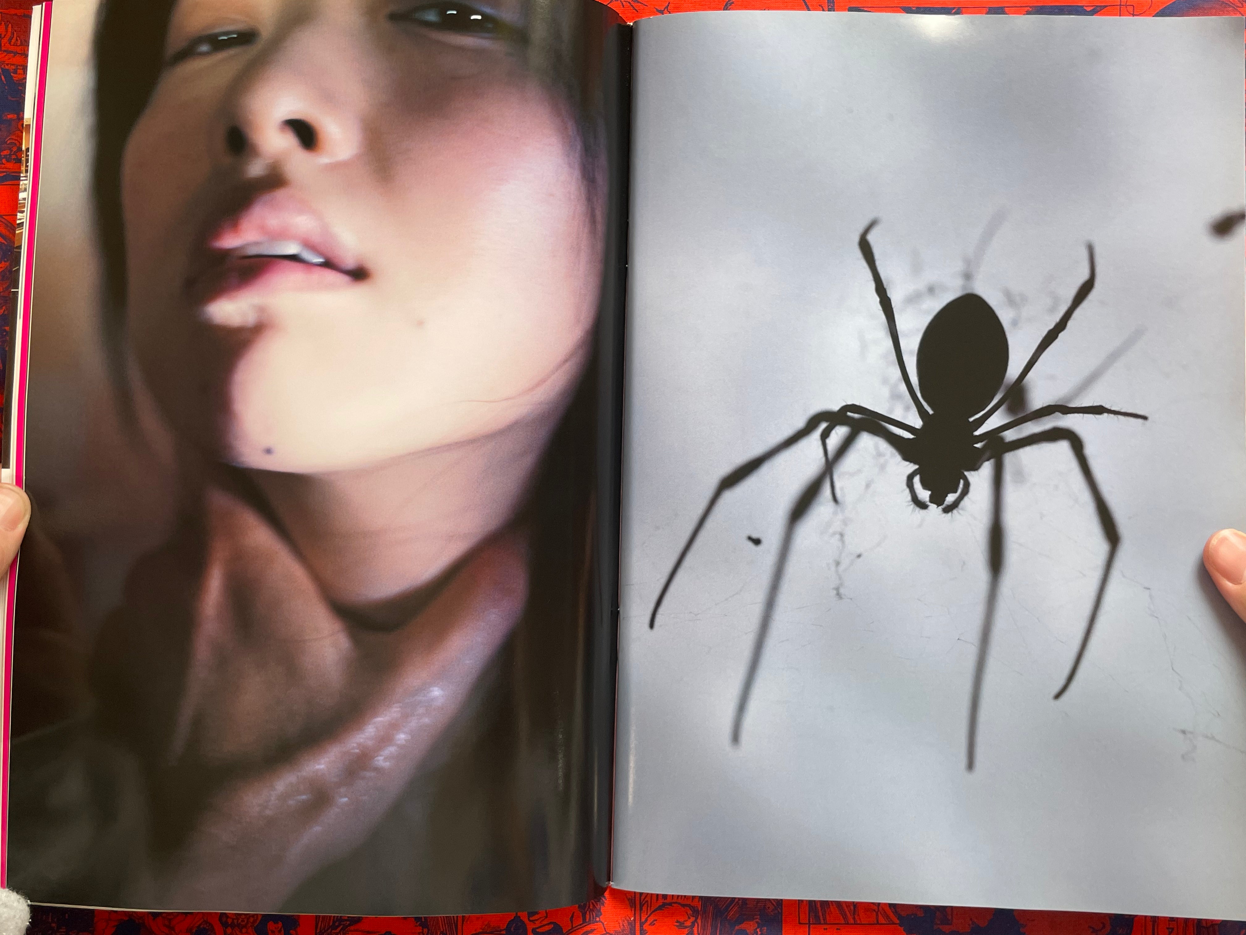 Monthly Shincho Mook: Seto Saki II (2009)