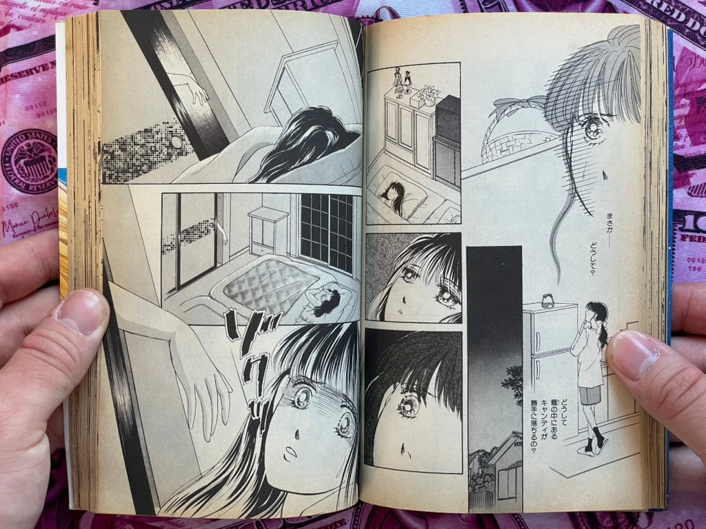 The Boy Who Became a Star by Mayuri Yamamoto (1993)